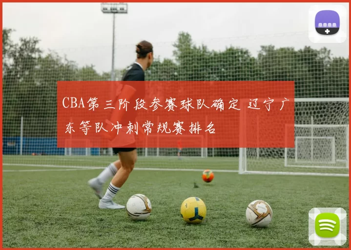 CBA第三阶段参赛球队确定 辽宁广东等队冲刺常规赛排名